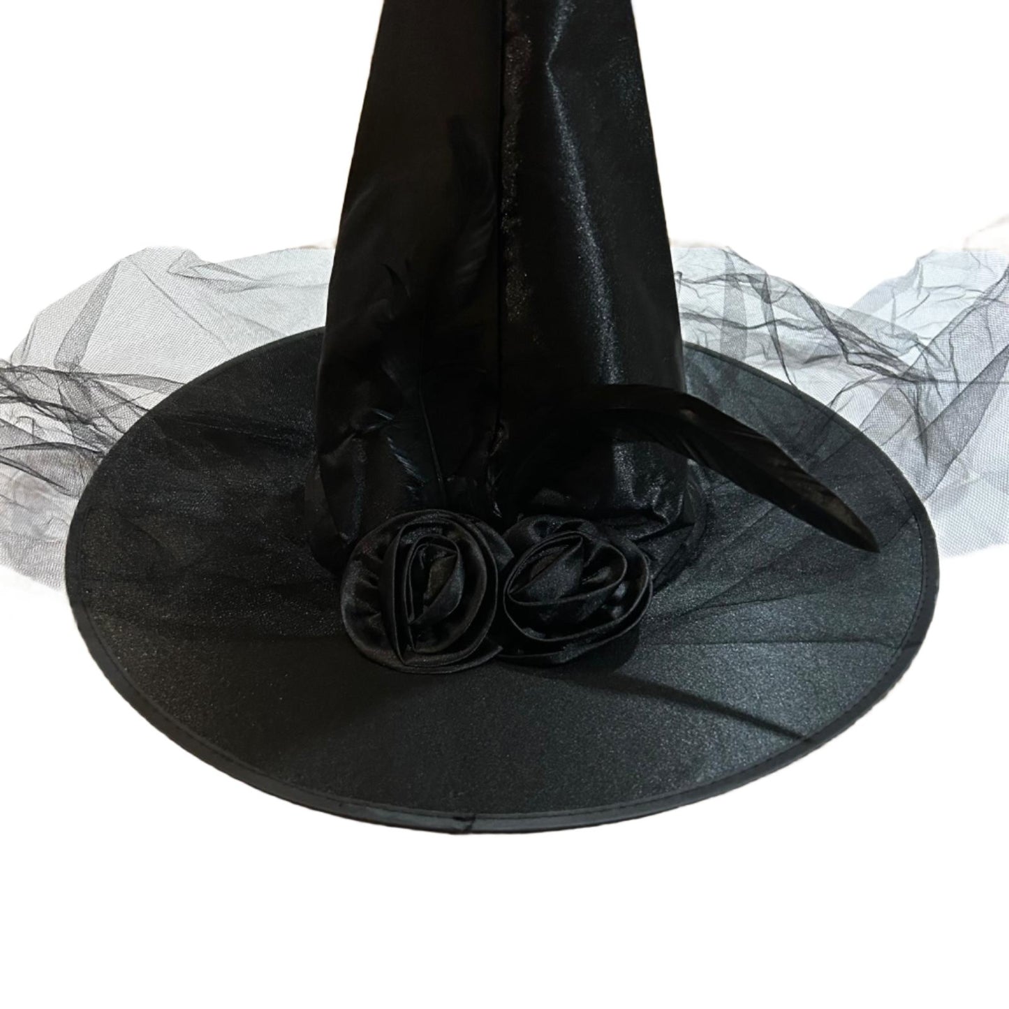 Black Witch Hat With Veil