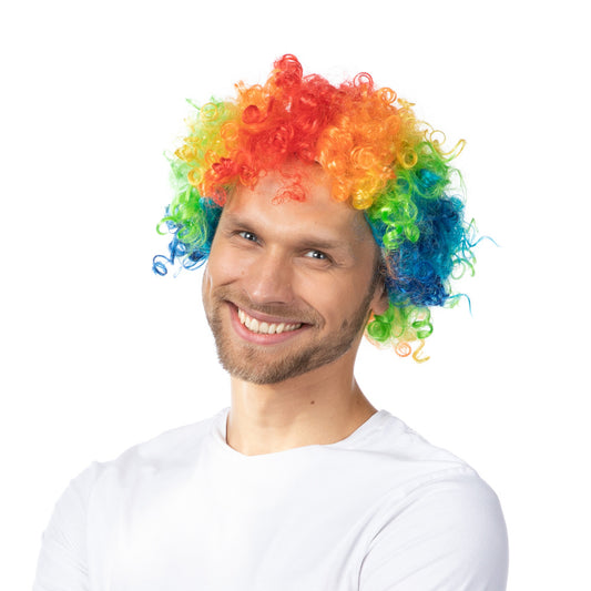 Rainbow Curley Afro Wig
