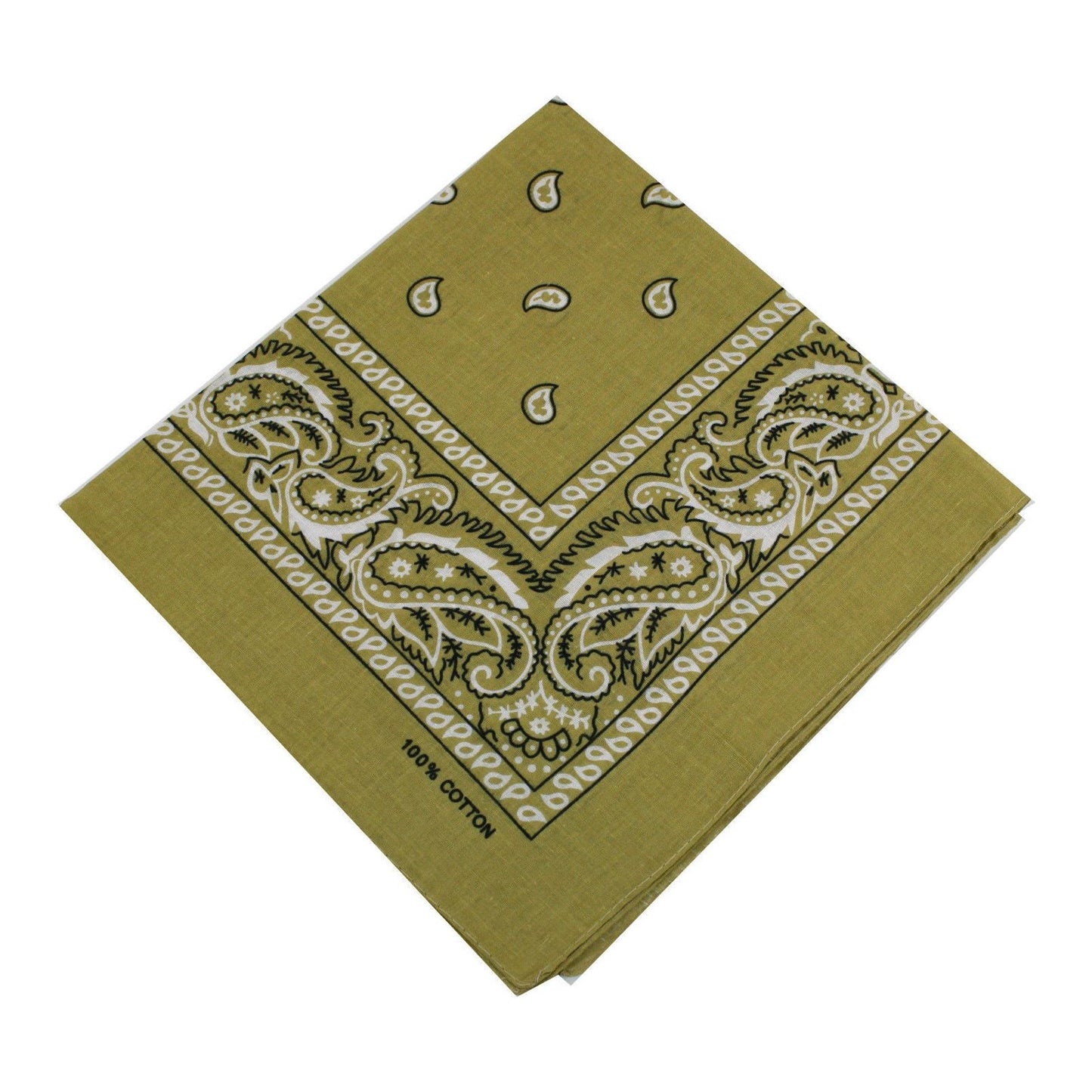 Beige Paisley Bandana