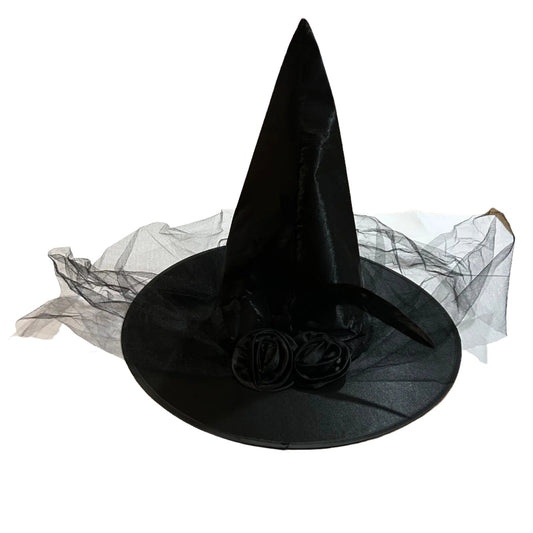 Black Witch Hat With Veil