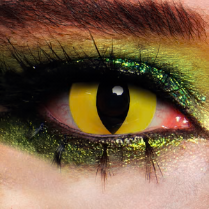 MesmerEyez Wild Cat Contact Lenses 1 Day