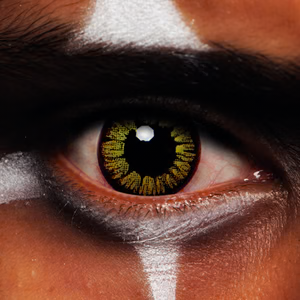 MesmerEyez Golden Vampire Contact Lenses 1 Day