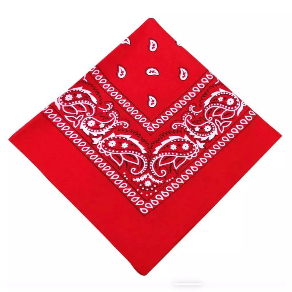 Red Paisley Bandana